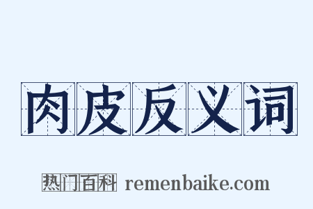 肉皮反义词是什么意思的图片